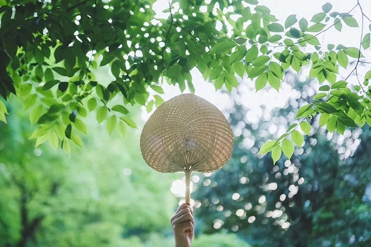 夏至二十四节气诗词（夏至3首仲夏诗词）