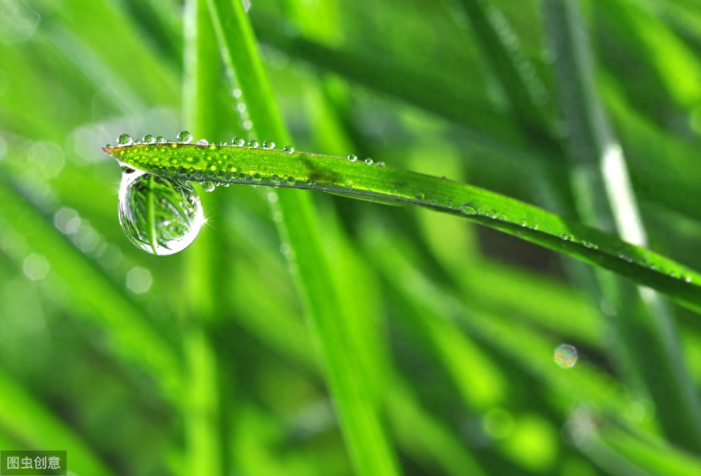 水国芒种后，梅天风雨凉（著名5首芒种古诗赏析）