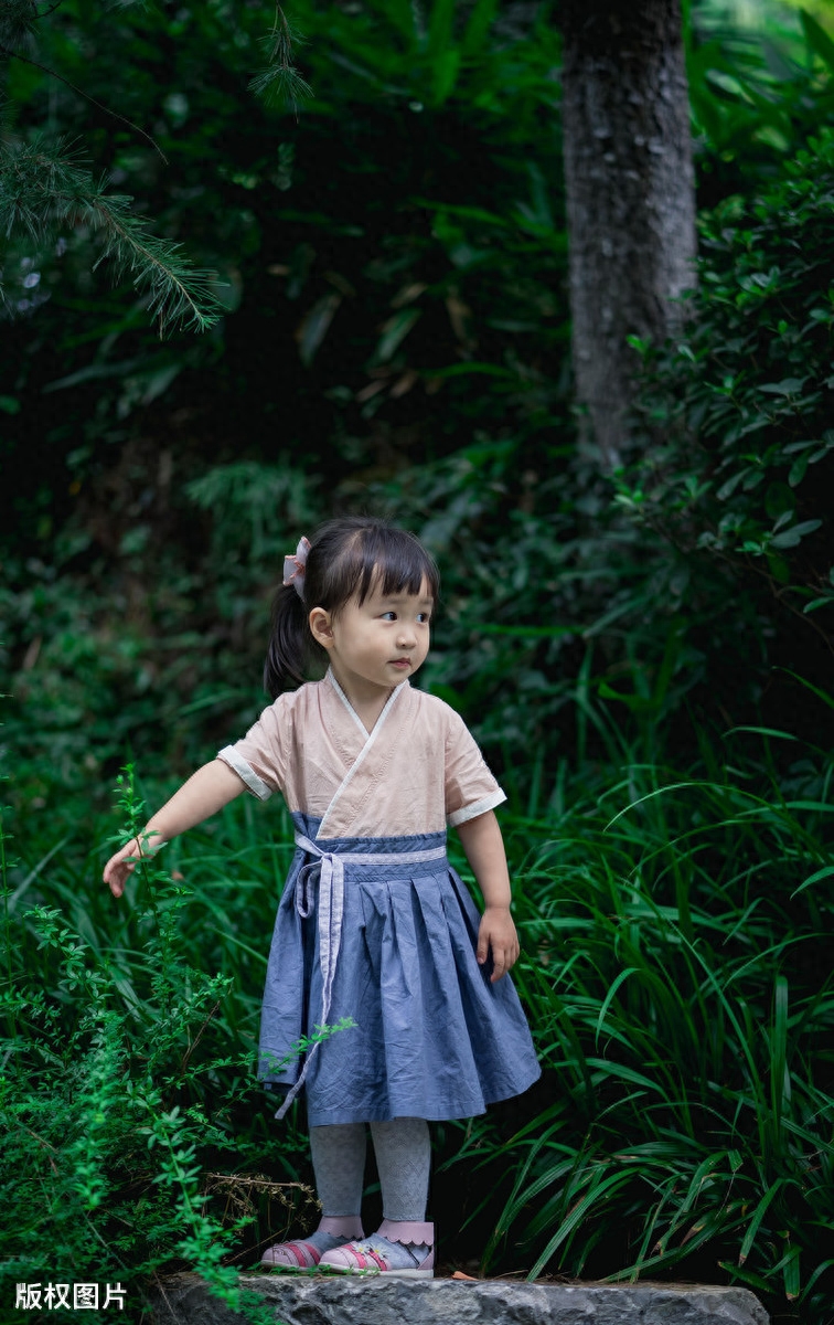 小学生有趣的经典古诗词（10首童趣古诗词）