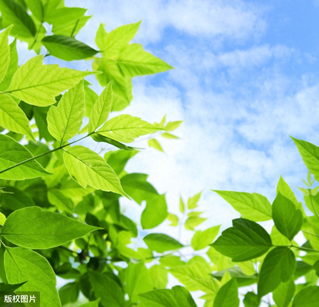 夏天古诗词名句（24节气之立夏5首立夏古诗词）