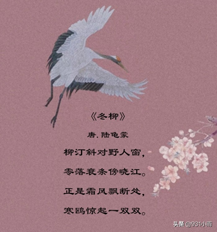 冬季古诗句子摘抄（4首冬季的古诗词）