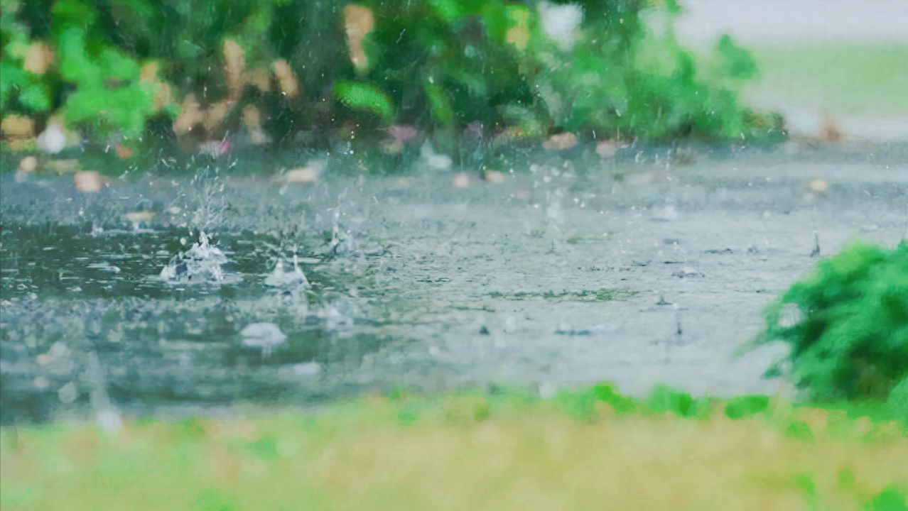 春雨诗词古句有哪些（关于春雨的10首古诗）