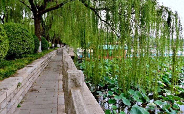 春雨经典诗词大全（关于春雨的古诗词）