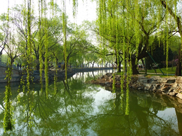 春雨经典诗词大全（关于春雨的古诗词）