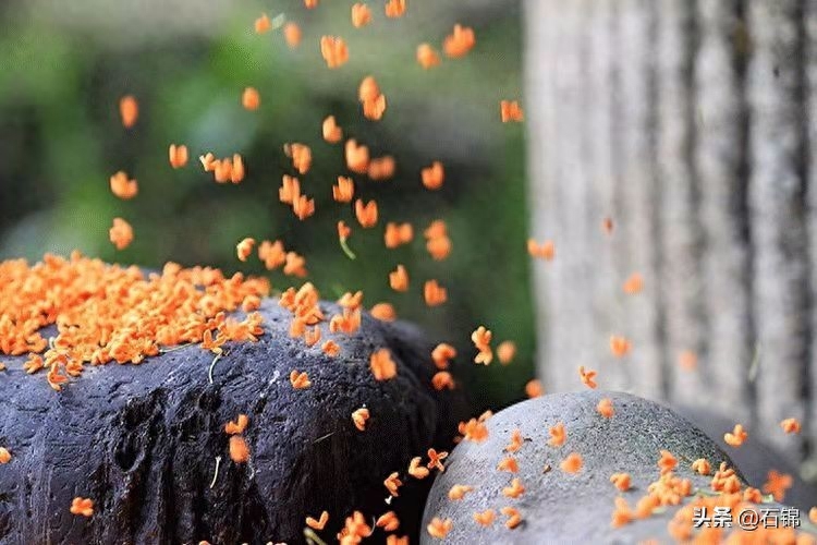 桂花经典诗词大全（分享七首唯美桂花诗词）