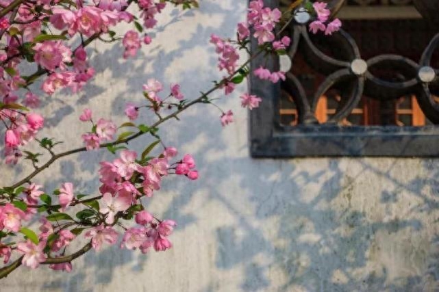 节气唯美古诗大全（春雨惊春清谷天，夏满芒夏暑相连）