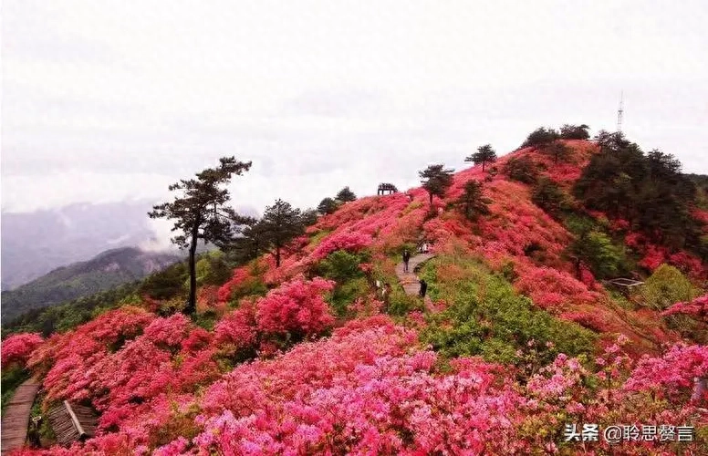 山行唯美古诗大全（十二首山行诗词）