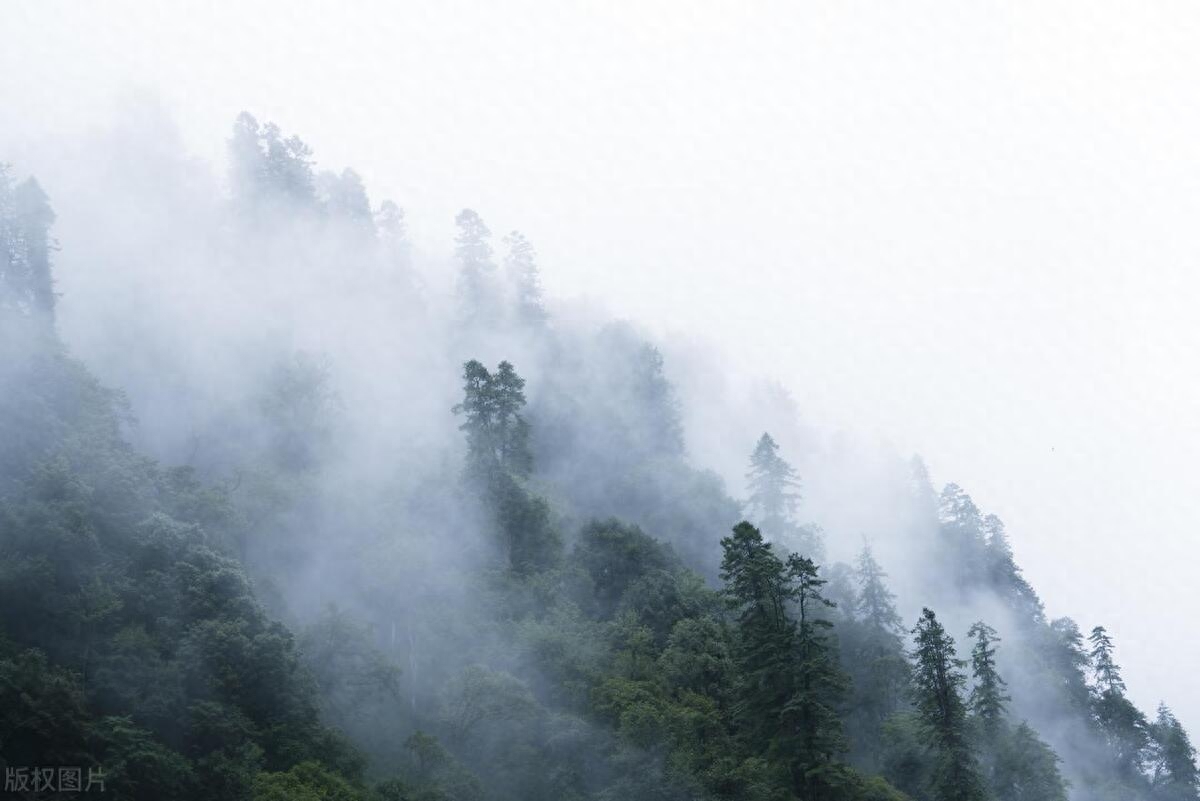 山行唯美古诗大全（十二首山行诗词）