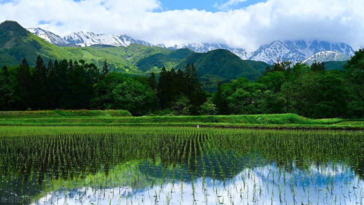 赞美田园生活的唯美诗词（十首秧田诗词）