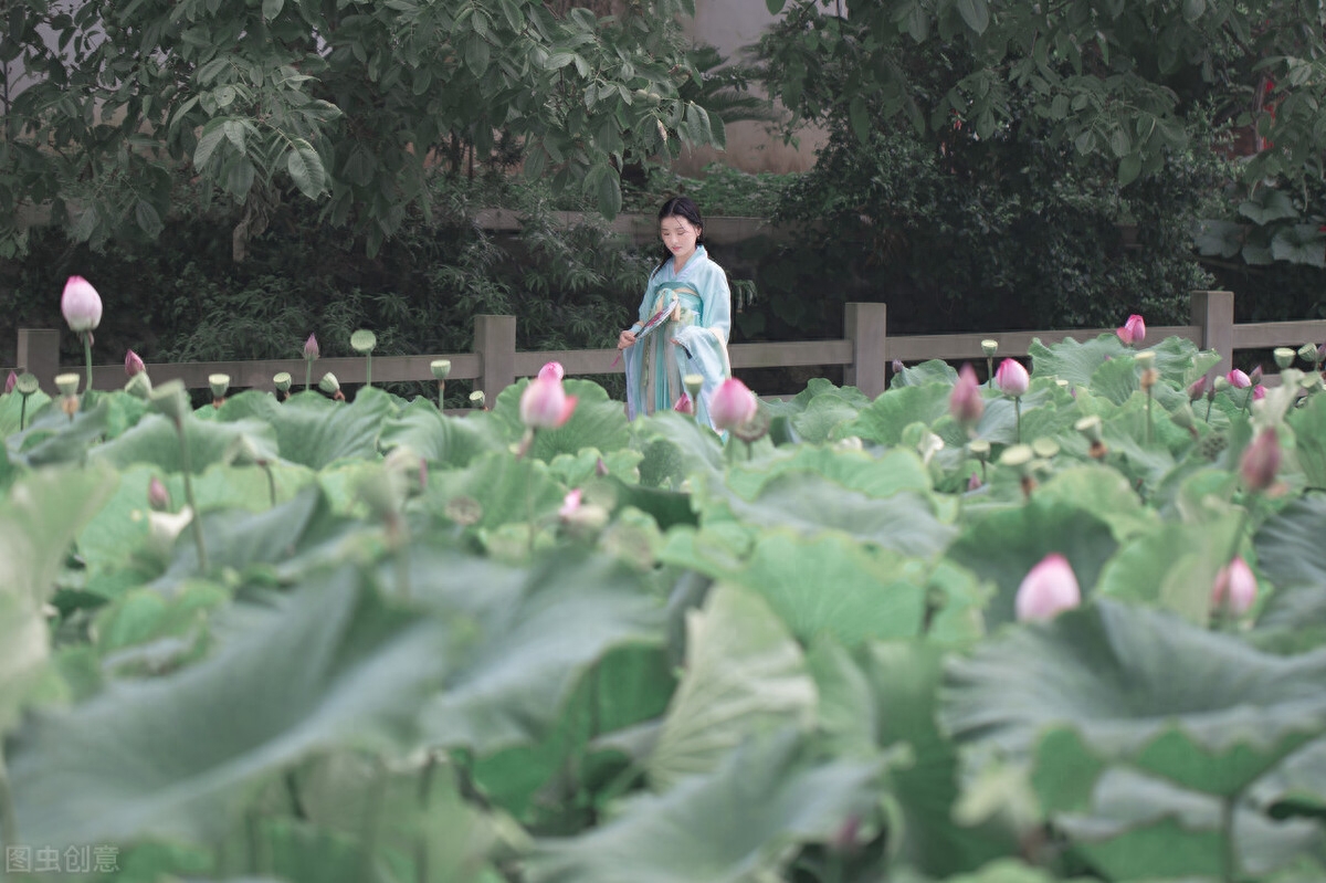 关于莲花莲藕的诗句（十五首莲藕诗词）