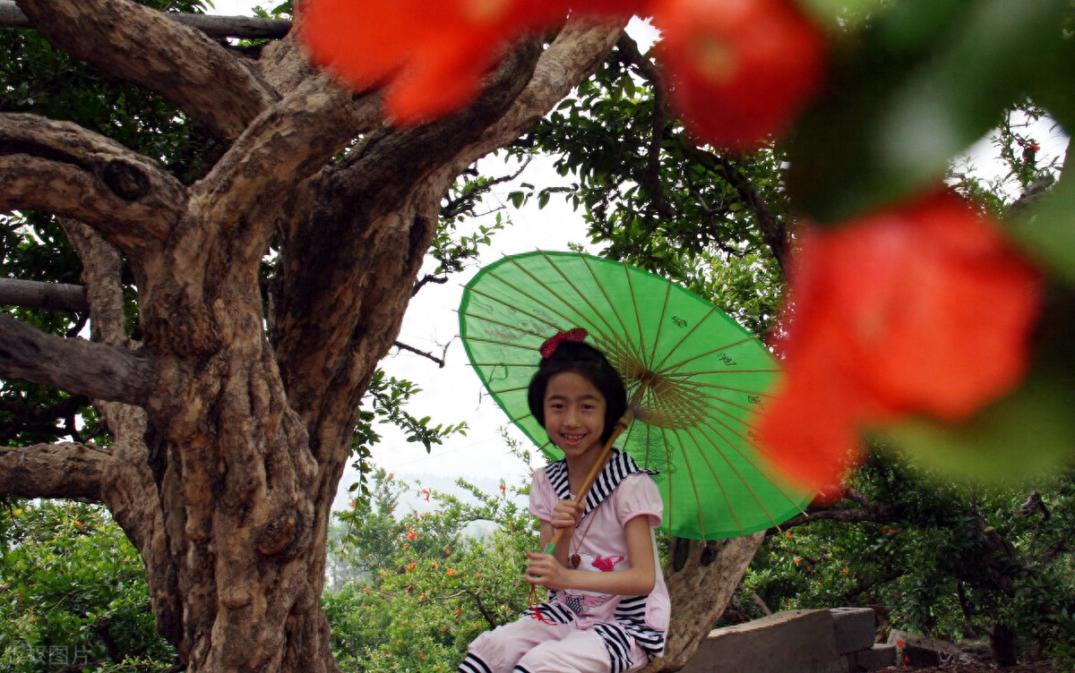 榴花唯美古诗词赏析（石榴花古诗词七绝诗）