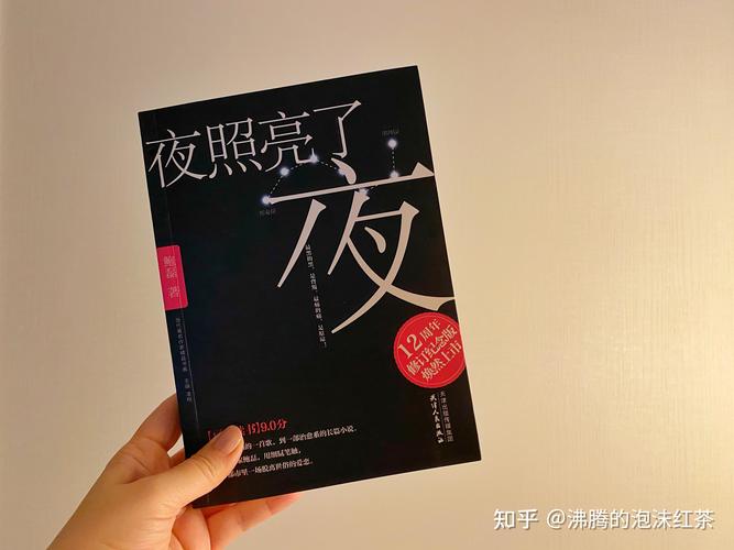 照亮我心灵的一束光满分作文（《照亮我心灵的一本书》）