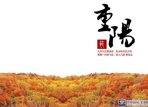 重阳节给老人的祝福语(精选)（2023重阳节）