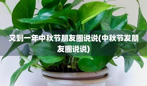 2021中秋节怎么发说说（与家人共享团圆时刻，品味生活中的美好）