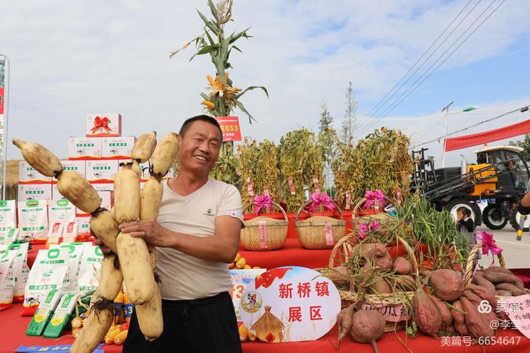 赞农民丰收节诗词（农耕有为，丰收满园）