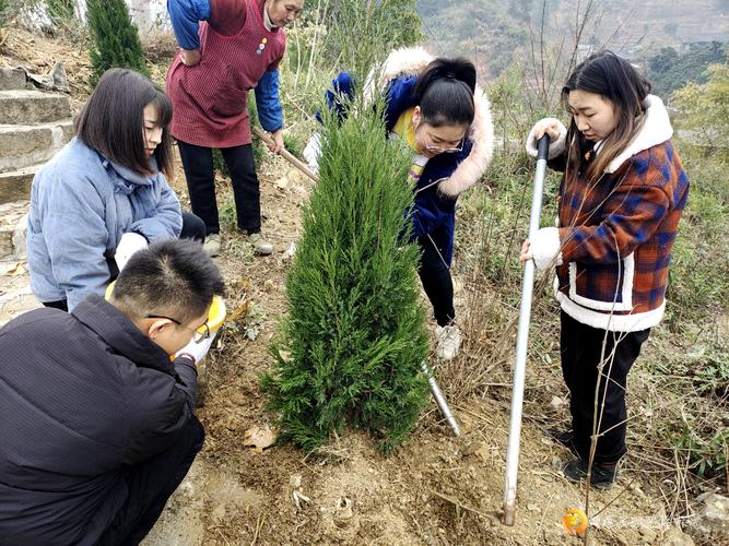 有关2023植树节活动标语的短句有哪些（共同呵护地球家园，创造美好明天）