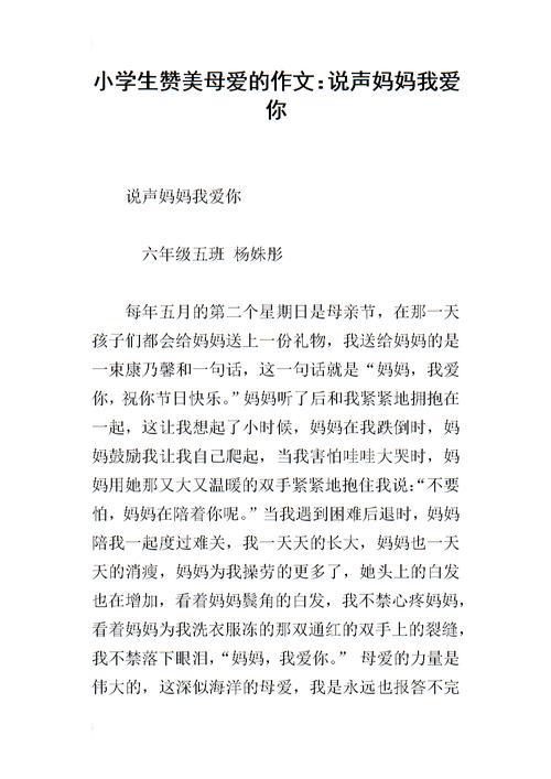 母爱照亮我前行作文700字（《母爱如阳光》）