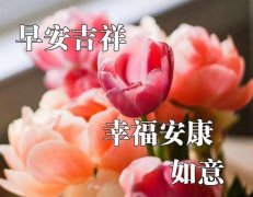 2020年早上好的句子（在清晨中寻找美好）