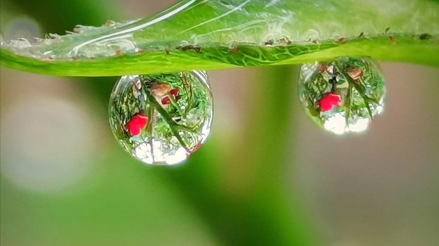 入冬第一场雨的小句子（立冬第一场雨）