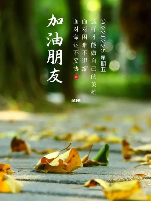 早安共勉的优美句子（清晨的美丽，从这里开始）