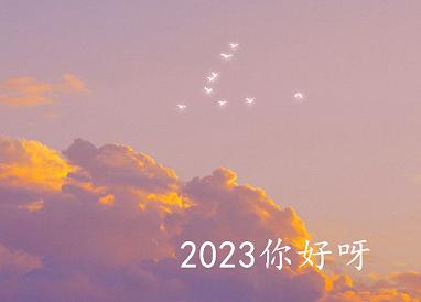 2020再见2021你好说说句子（2023再见2023你好跨年）