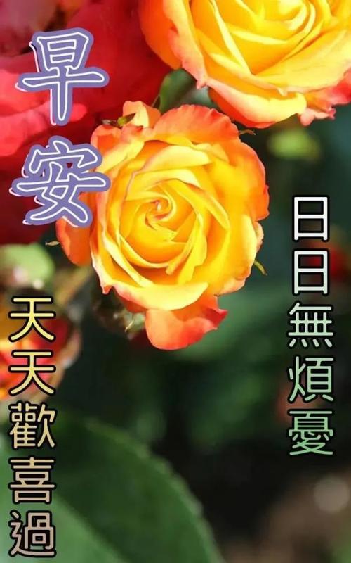 立秋发朋友圈早安说说（秋意渐浓，瑰丽的季节即将来临）