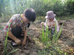 有关帮助奶奶干活的作文题目（《助力奶奶，共度温馨时光》）