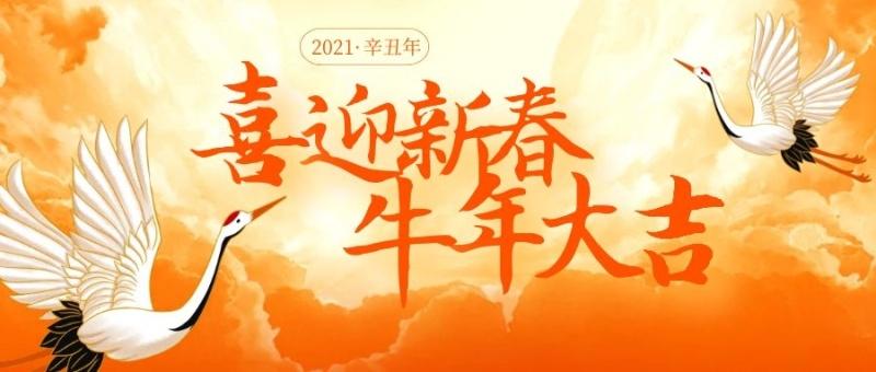 2031元旦祝福语（用短句送上心意，祝福迎接新年）