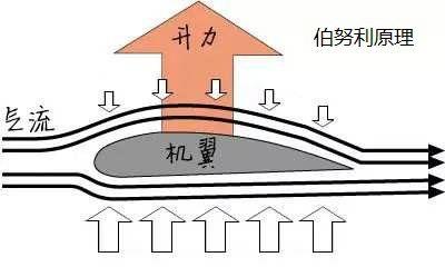 生活要有压力作文（《生活总归有压力》）