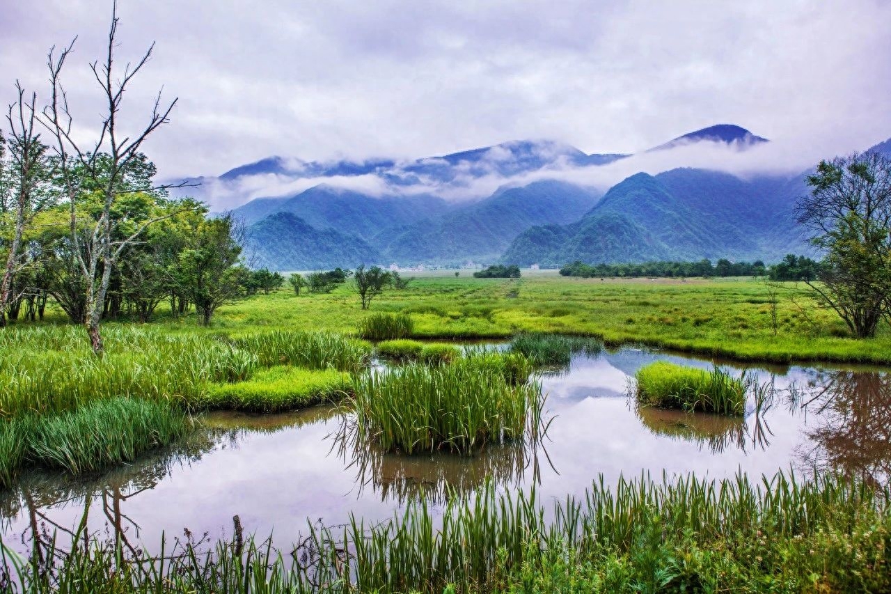 赞美大山的经典诗句（10首山行唯美古诗）