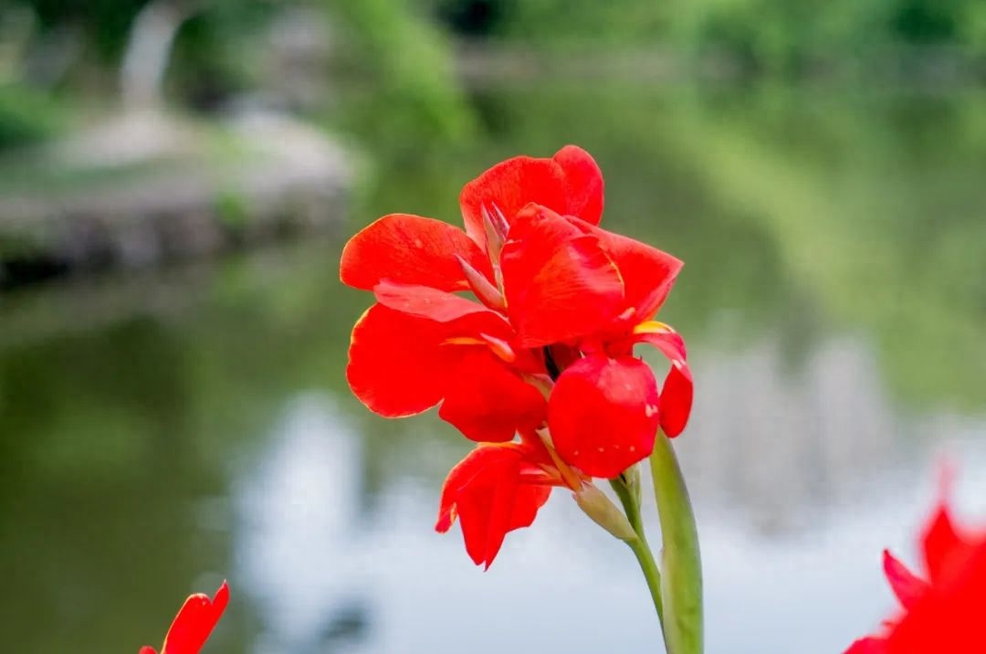 春游唯美诗词大全（分享30首春游诗词）