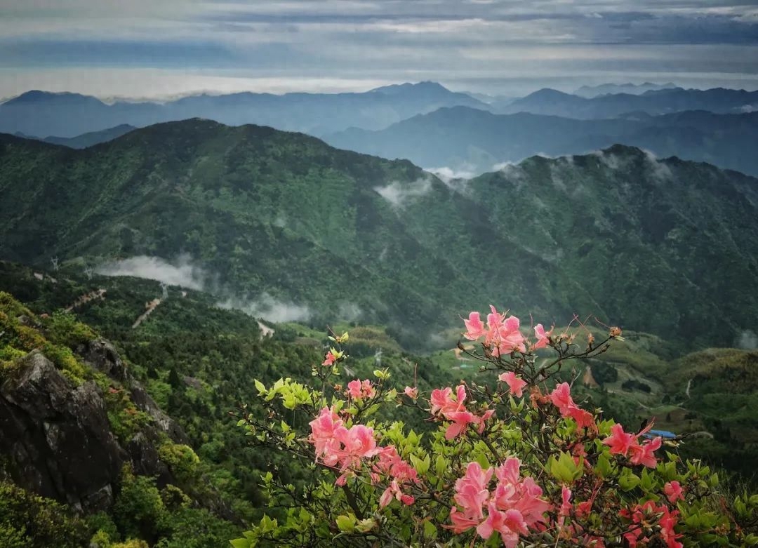 春日经典诗词大全（100句绝美春日诗词）