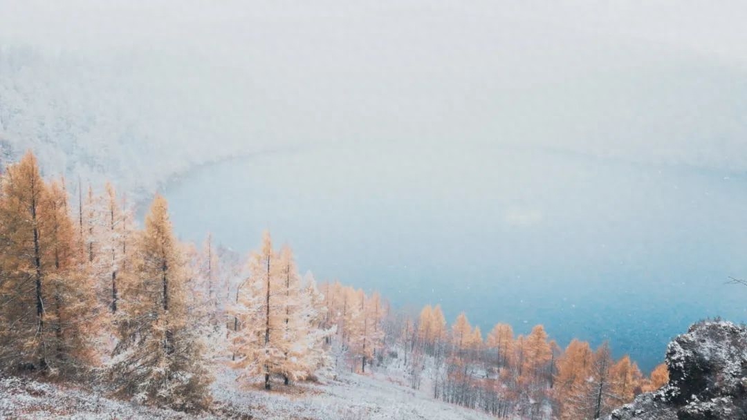 冬雪的经典诗词赏析（10首冬雪诗词）