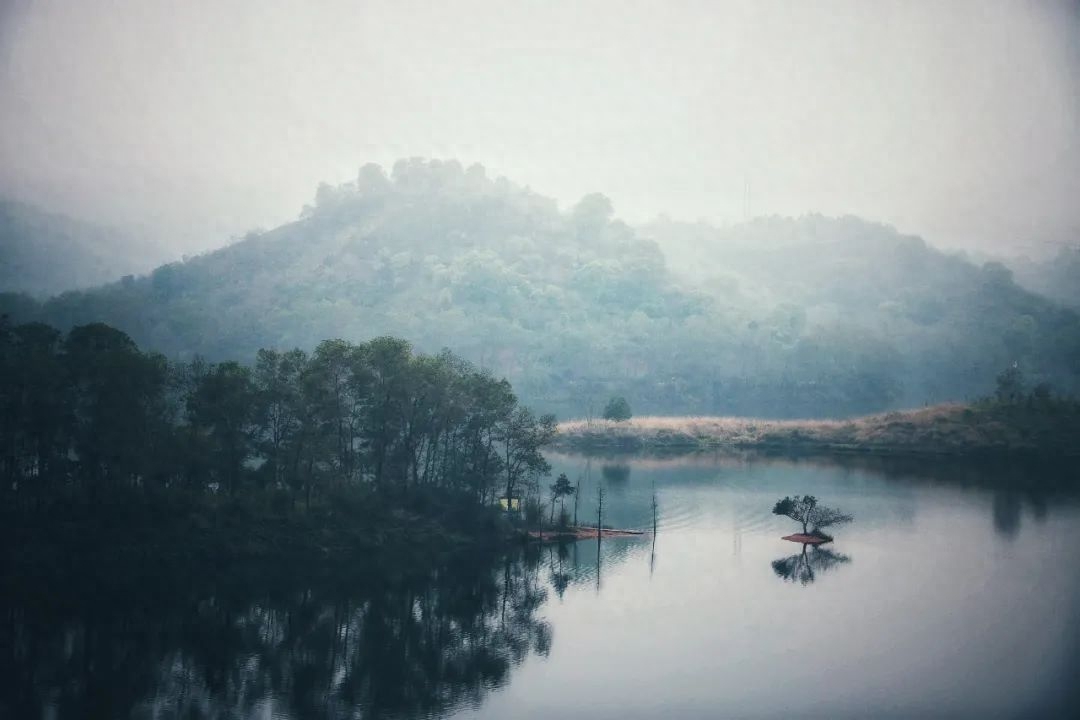 治愈诗词古句大全（很暖很治愈的诗词古句）