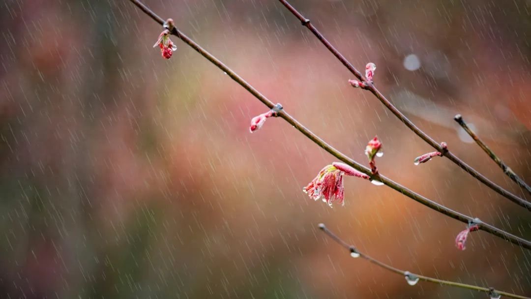 描写雨天的诗词古句（适合发朋友圈的30句诗词）