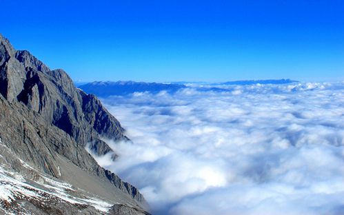 那些美丽的风景话题作文（《别样的风景》）