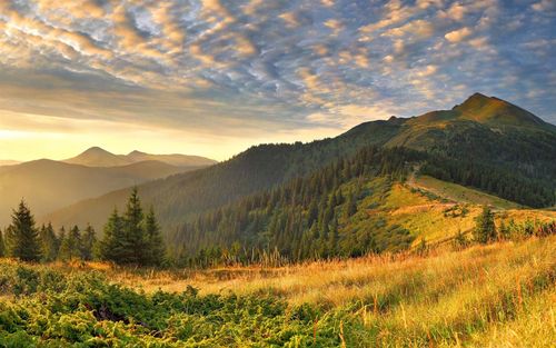 美丽的黄山风景作文（《美丽的风景》）