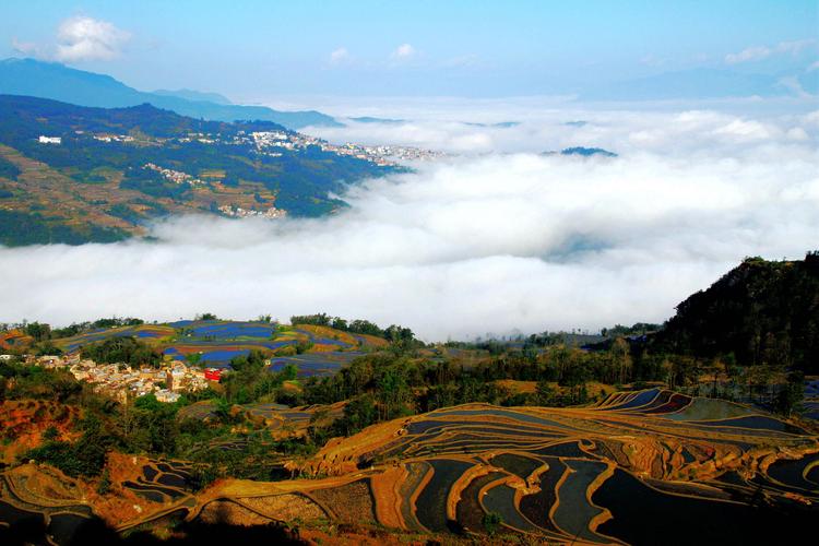 美丽的黄山风景作文（《家乡的风景》）