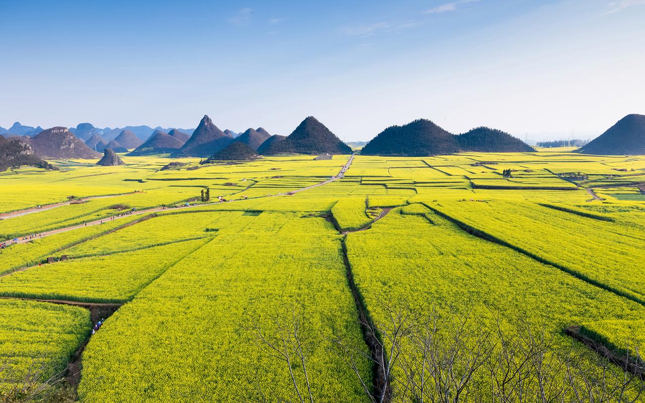 风景如画的家乡作文（《别样的风景》）