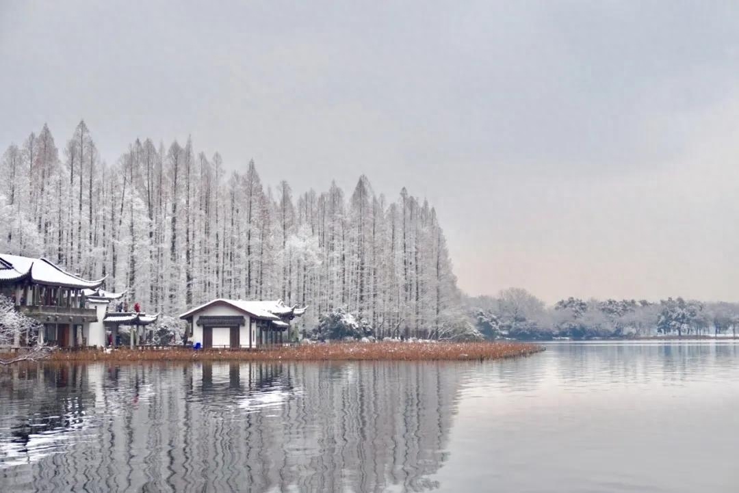 借雪表白浪漫的诗句（25句写雪的诗词）