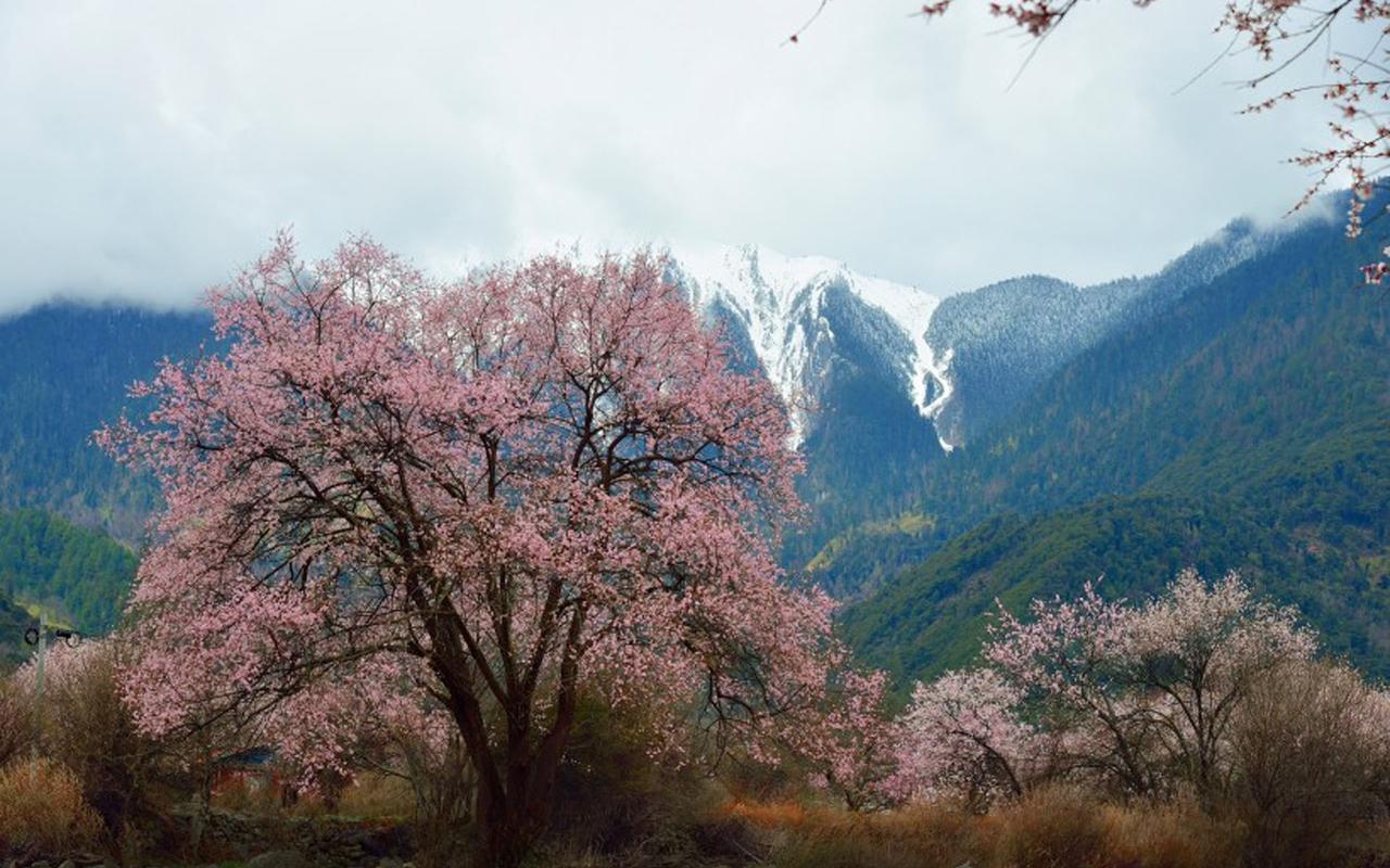 亮丽的风景优秀作文（《大自然的风景》）