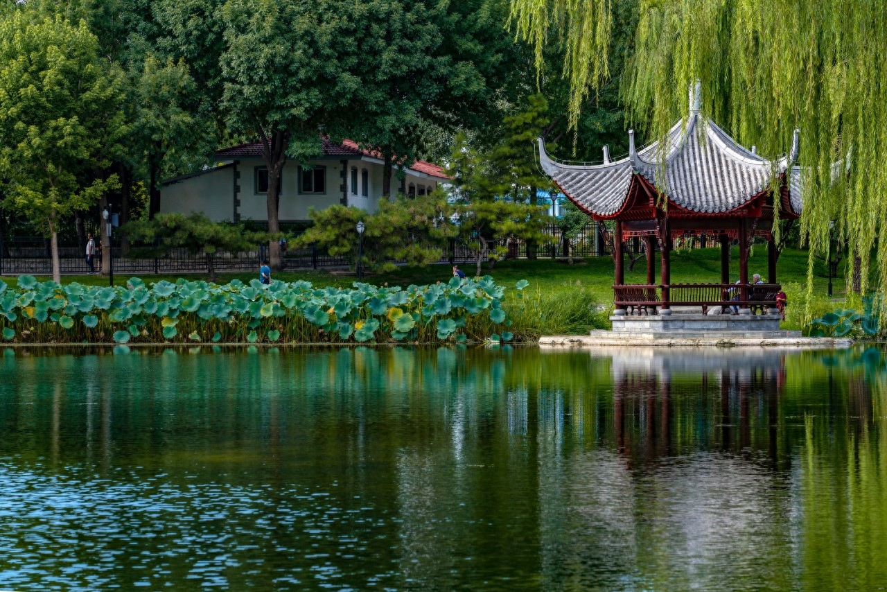 送别诗词古句摘抄（九首经典送别古诗）