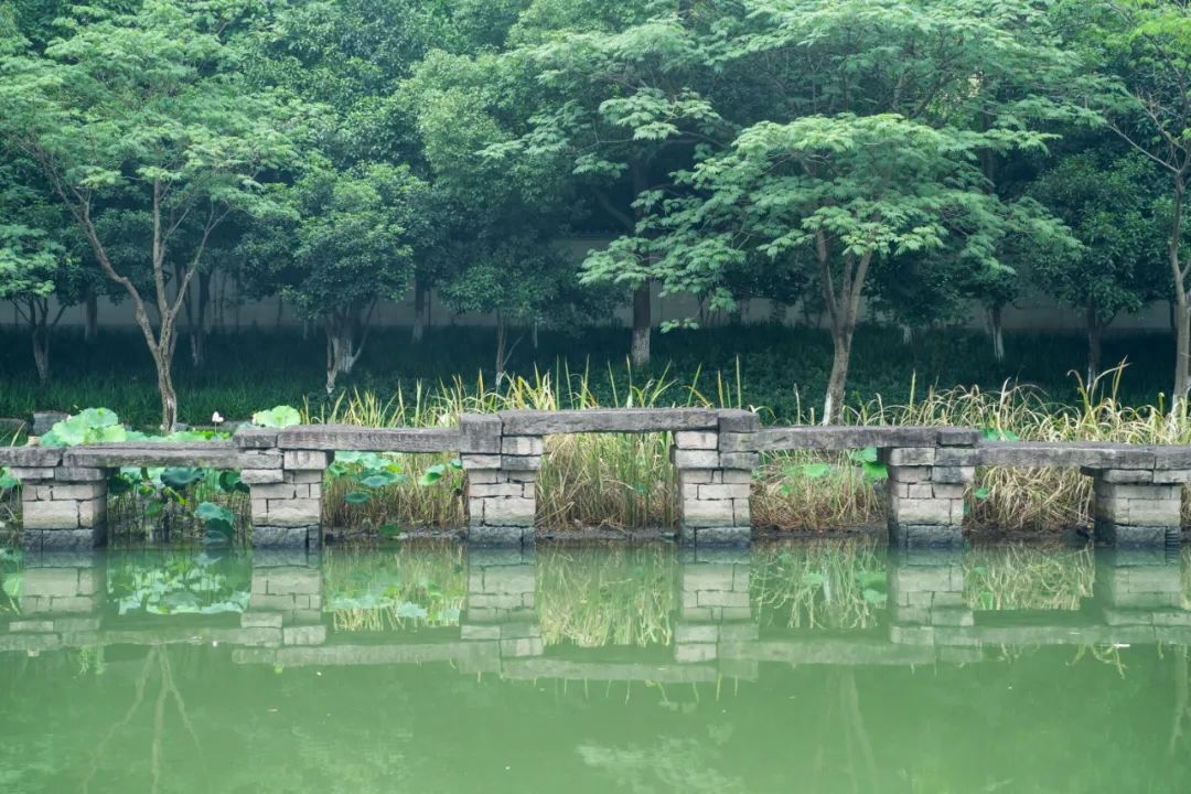 描述夏至古诗词赏析（9首夏至唯美诗词）