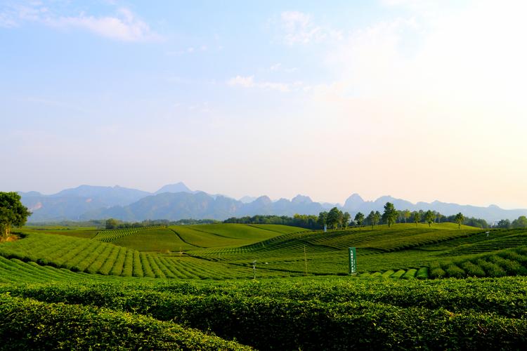 那些美丽的风景优秀作文（《成长的风景》）