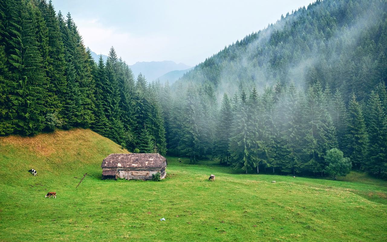 美丽的秋天风景作文（《美丽的风景》）