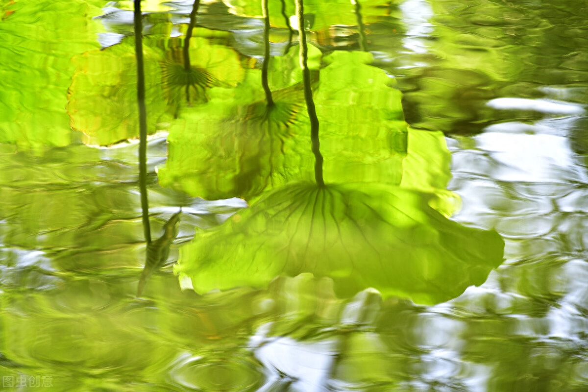 描写夏天经典诗词（30首立夏古诗词）