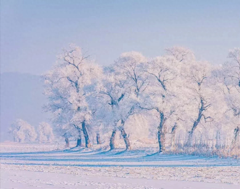 描写雪的唯美诗词古句（6首写雪的经典唐诗）