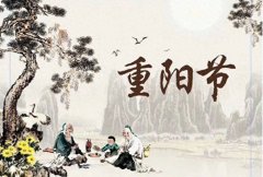 重阳节诗词古句大全（经典重阳节诗词）