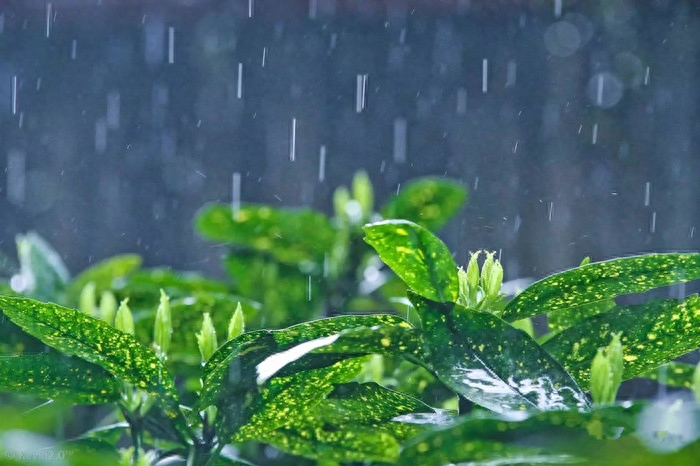 梅雨经典诗词有哪些（经典梅雨诗词9首）