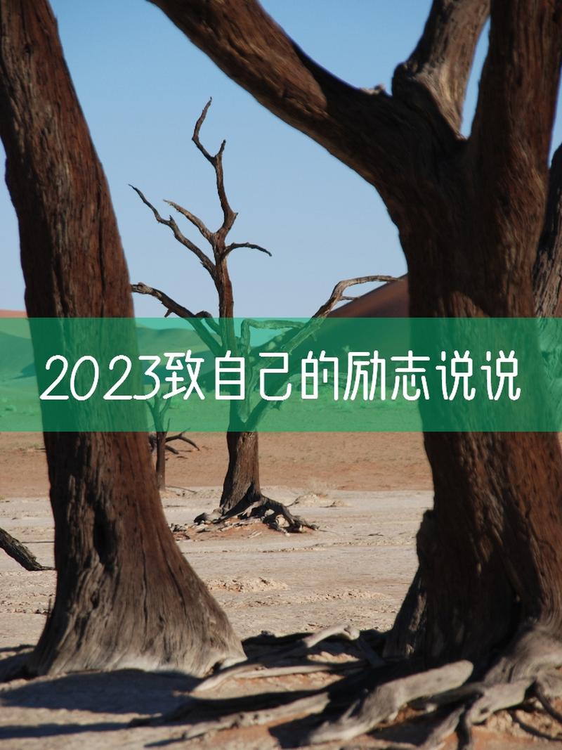 有关2023适合新年发的说说语录的短句（《花开岁月，人间有你》）